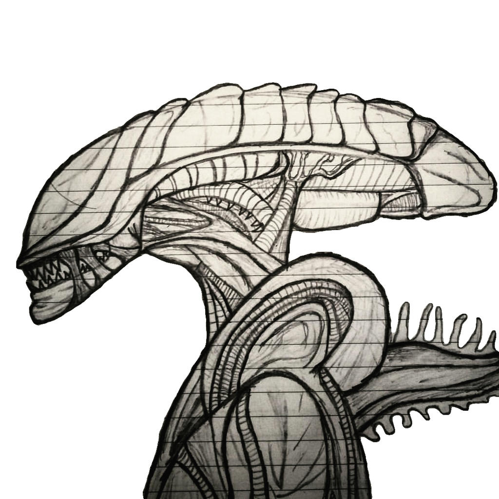 Alien Drawing By Bubbleyknight On DeviantArt alien-drawing-by-bubbleyknight-on-deviantart