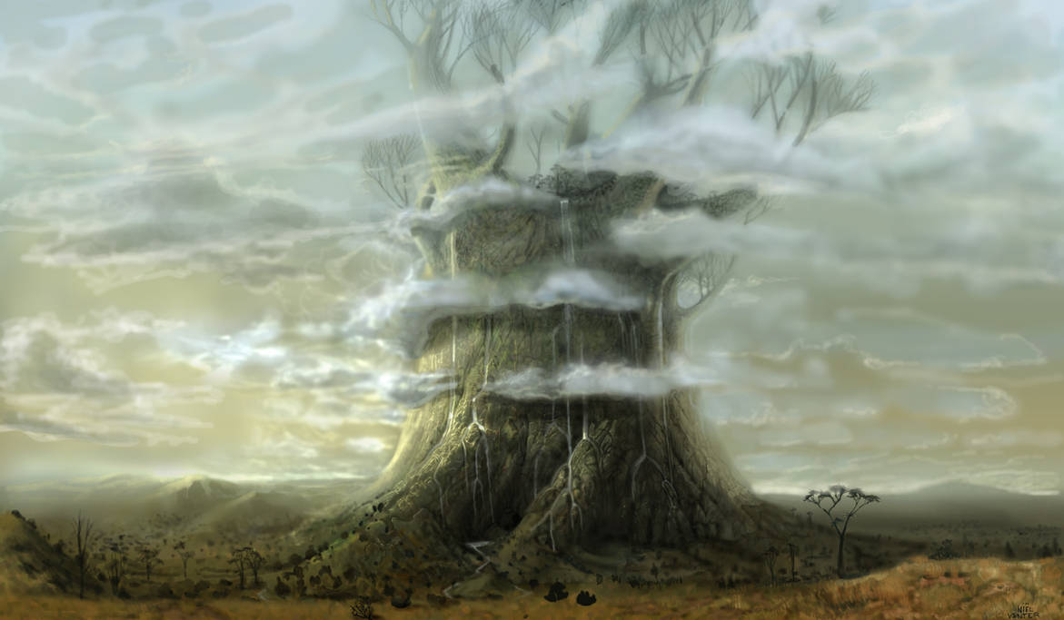 Ancient Baobab