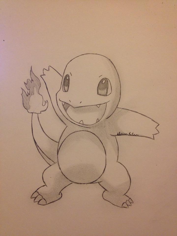 The Fire Type Pokemon