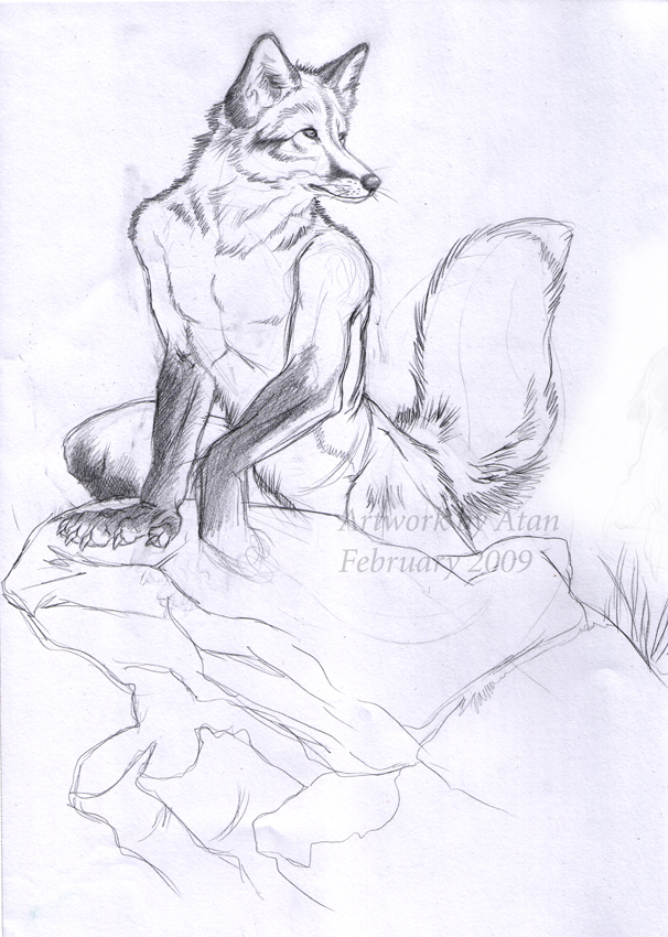 Sketch Fox