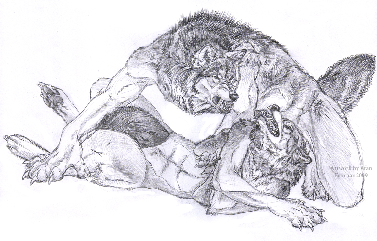 Hierarchy by Atan