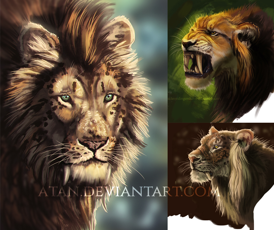 Narnia by schroedingerskatze87 on DeviantArt