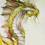 Gold Dragon Portrait