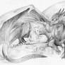 Commission - Dragon and Unicorn