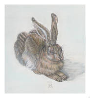 Hare Drawing by Albrecht Durer