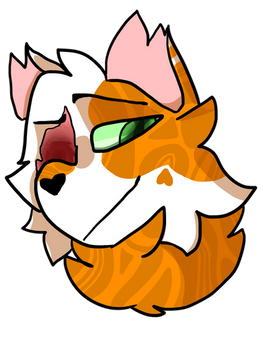 Brightheart headshot