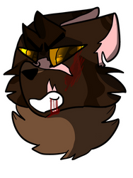 Tigerstar headshot