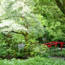 Japanese Garden 5