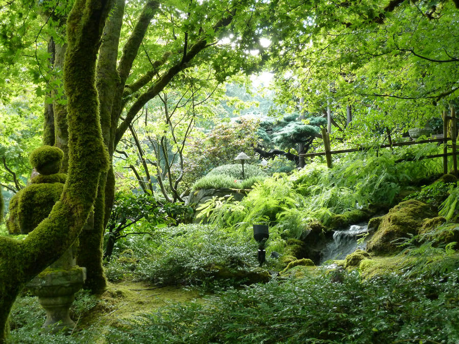 Japanese Garden 6