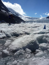 Athabasca Glacier 31