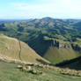 Te Mata Peak 3