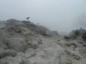 Geothermal Area 29