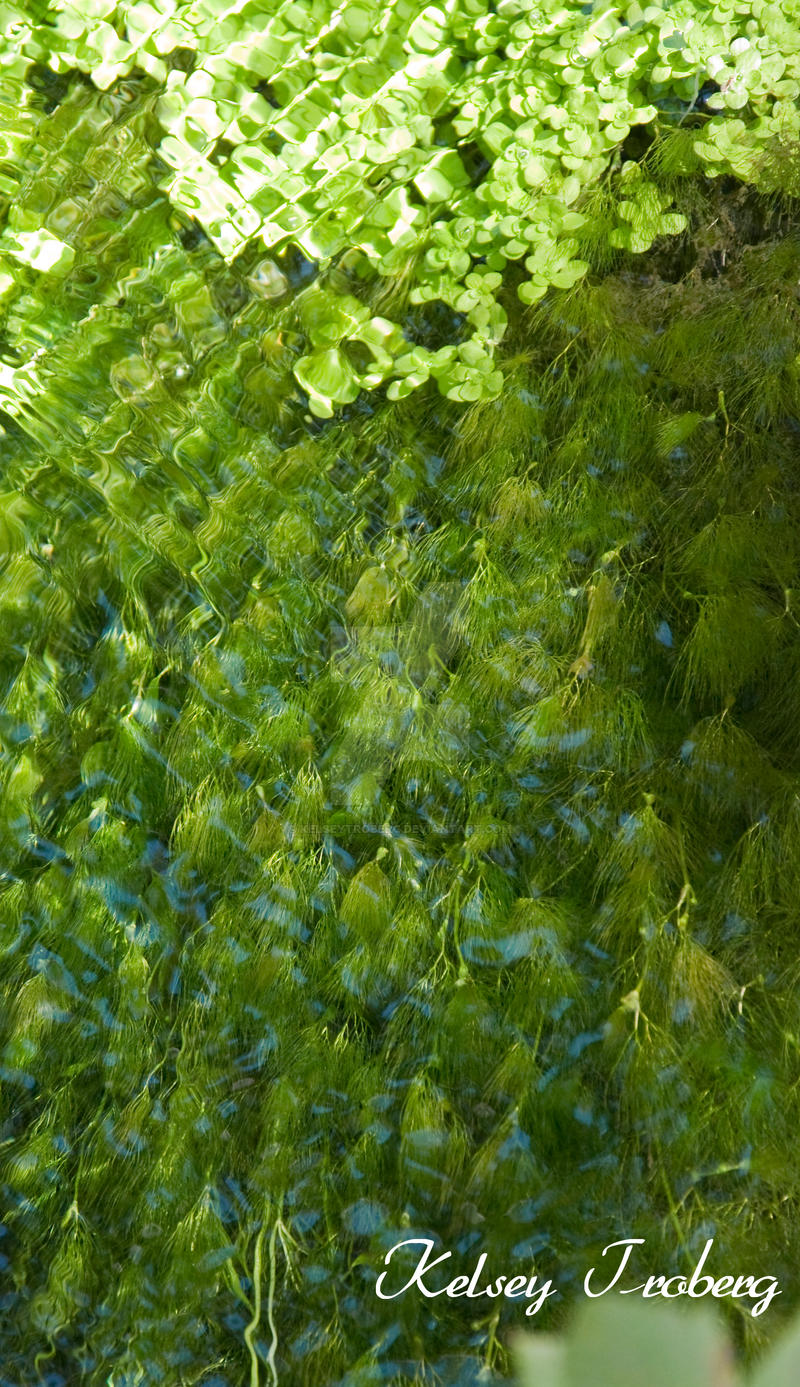 Falling Green