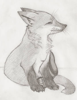 Drawing_Fox