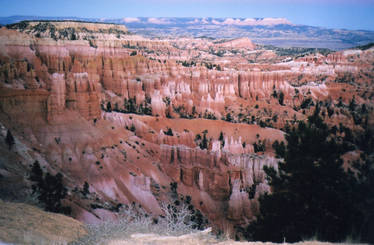 Bryce Canyon 1