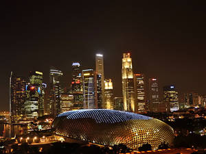 Singapore Night Scene