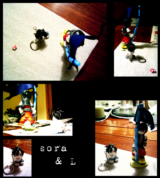 Sora + L