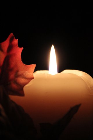 Candle with Leaves I