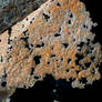 desert Mine Texture 3