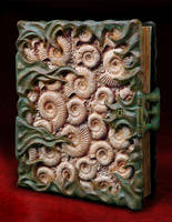 Fossil Book final