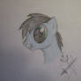 Percy  Jackson Pony