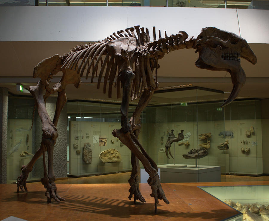 Deinotherium