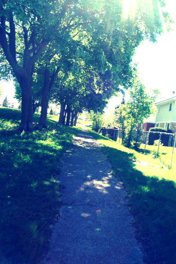 Clear Pathway by sallynatran on DeviantArt