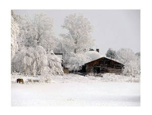 An old shack