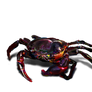 Black Crab