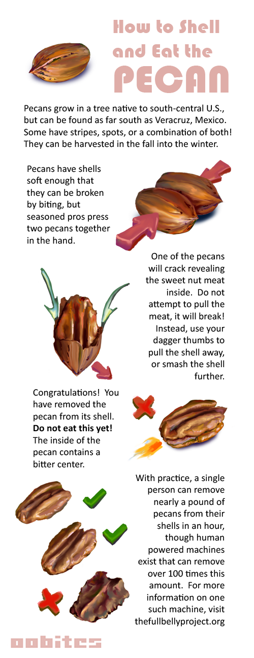 How-to-shell-and-eat-the-pecan