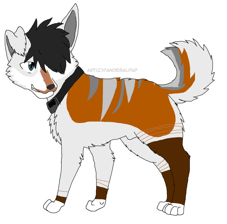 Pup Design pup design contest by twixthewolf on DeviantArt