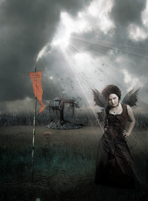 amy lee warriors