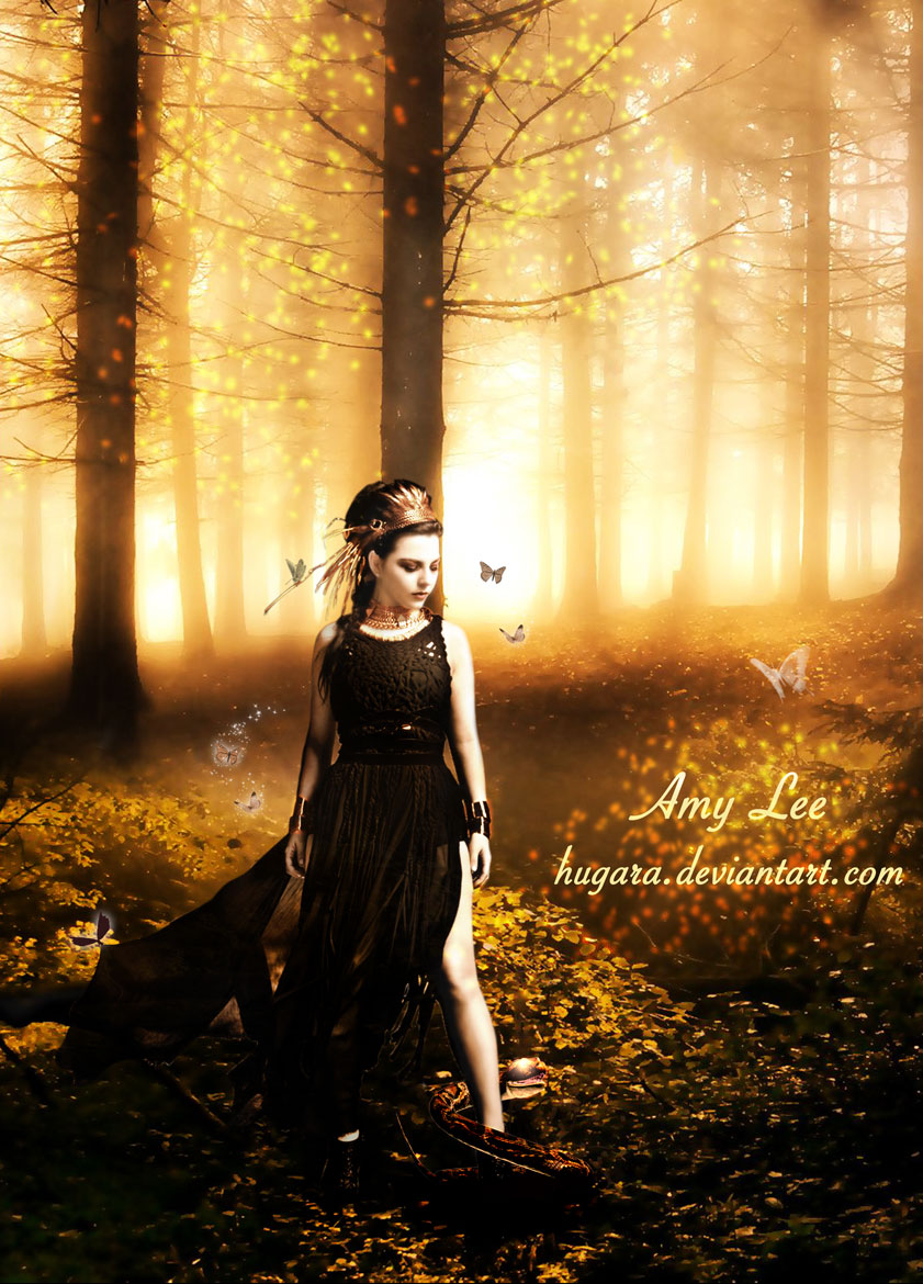 Amy Lee 2012