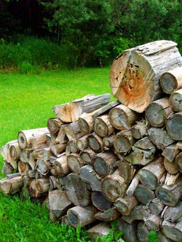 Wood pile