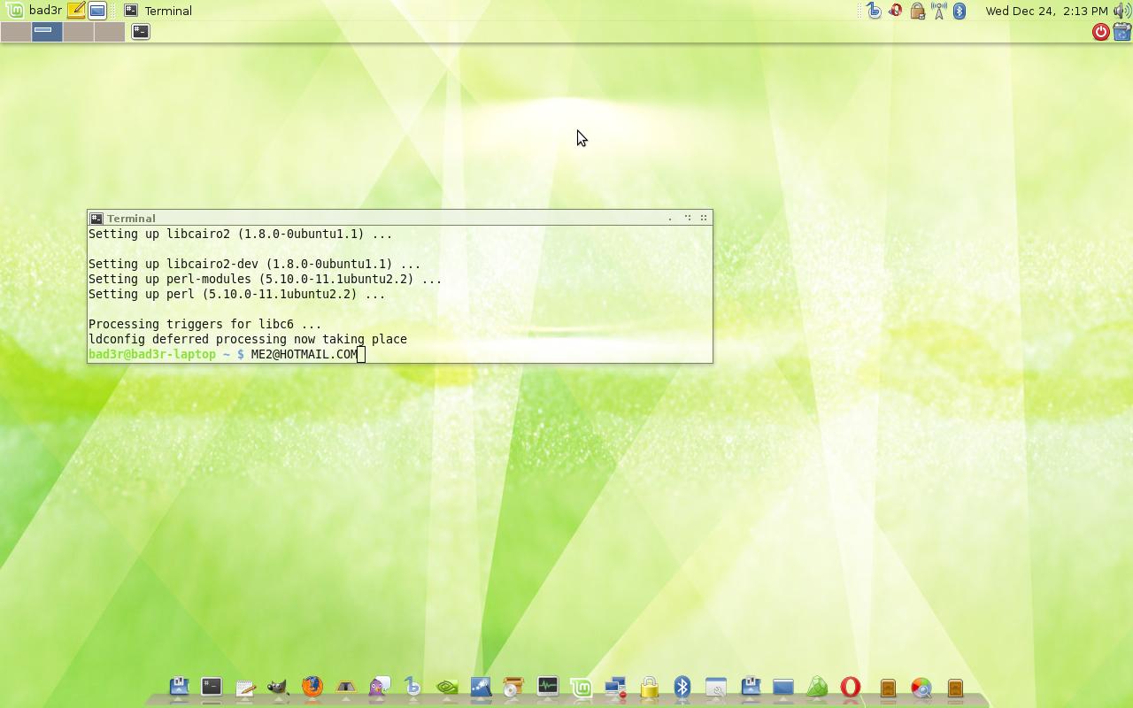 linuxmint-6-2008