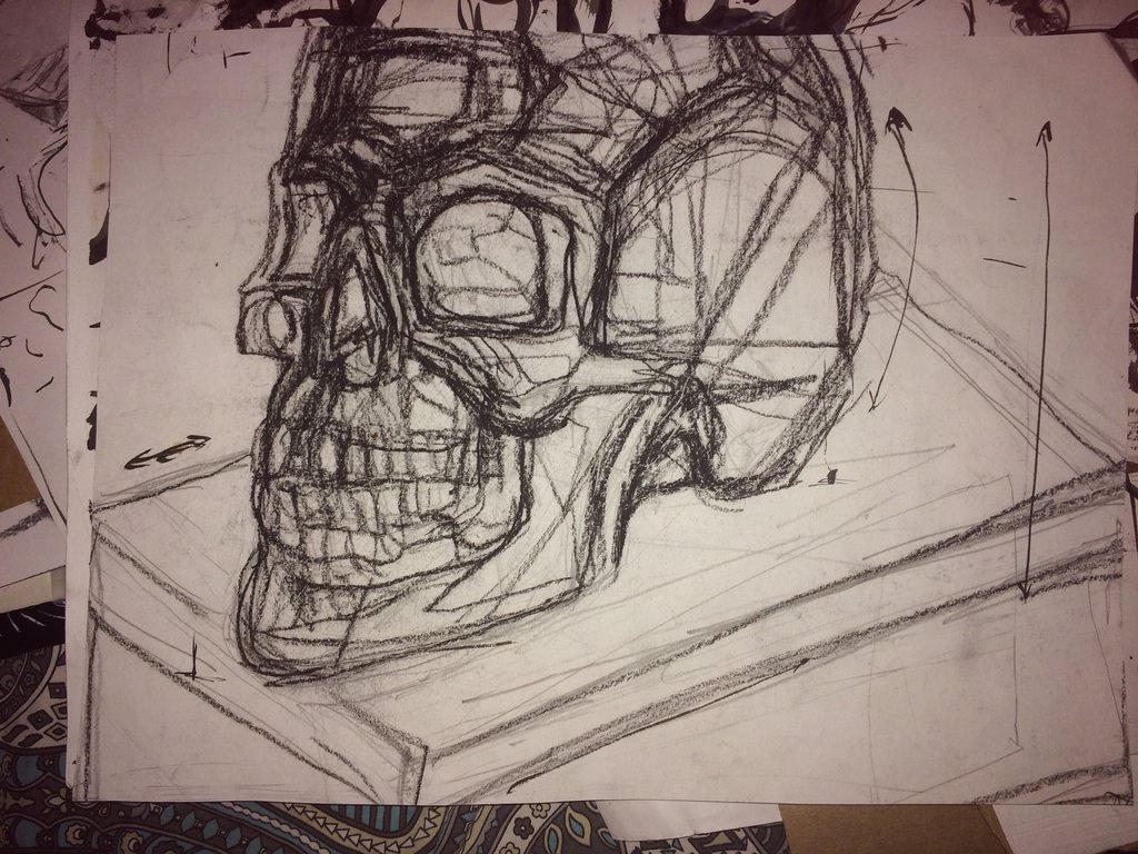 skull study 2017