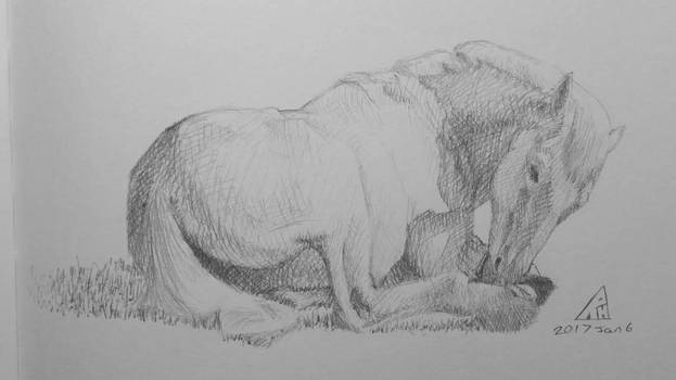 Horse in Pencil Crosshatch 01