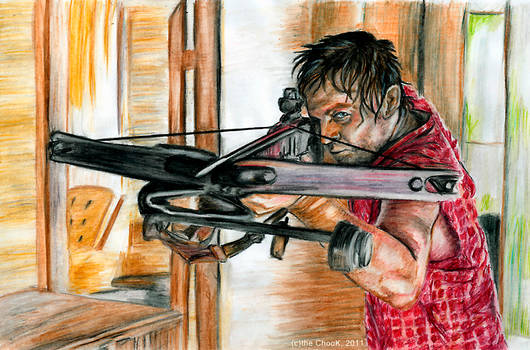 the Walking dead - Daryl Dixon