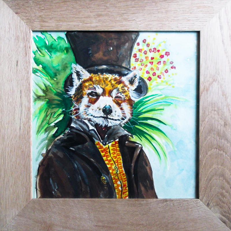 red panda