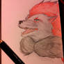 Realistic Zoroark