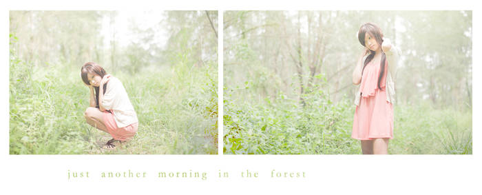 just another morning in the forest