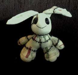 Raggedy bunny