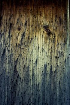 Wood texture