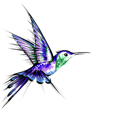 Humming Bird Tattoo Design