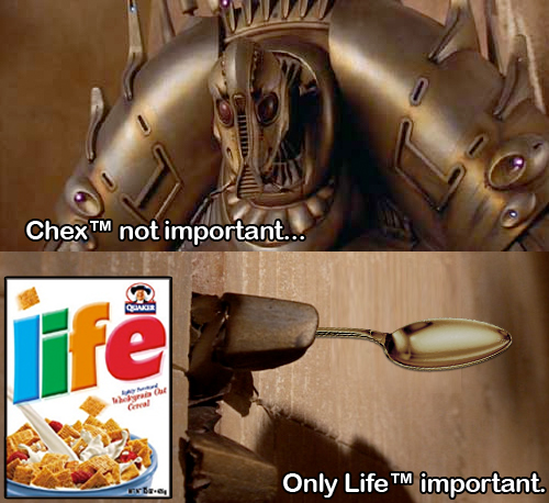 Meme - Only Life Important