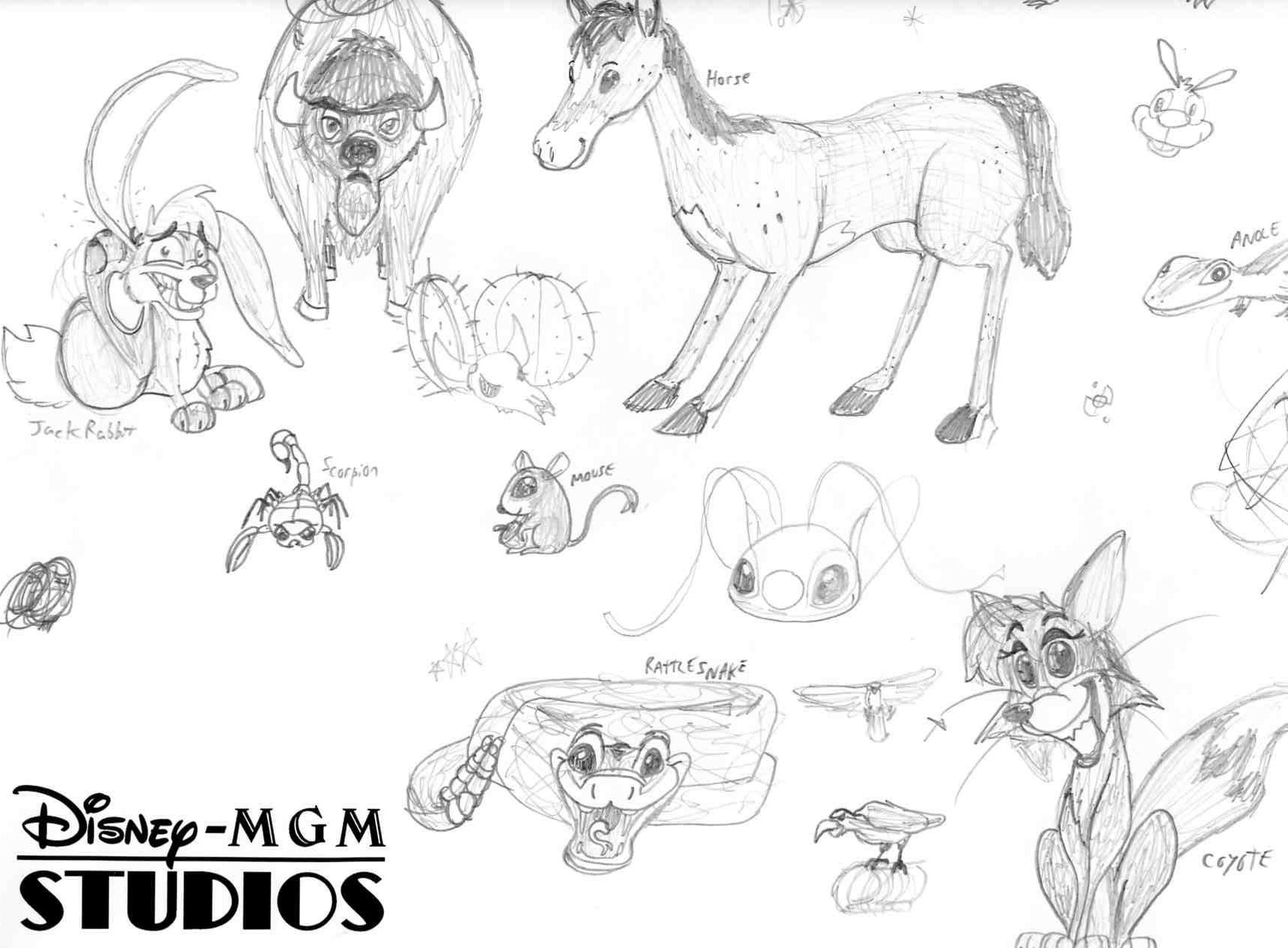 US Desert Animals- Sketch by Stitchfan on DeviantArt US Desert Animals- Sketch by Stitchfan on DeviantArt