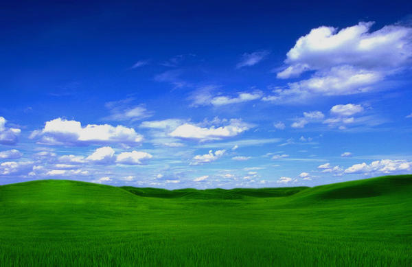 Bliss Wallpaper by MorzzE on DeviantArt