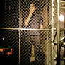 Elijah Stands in a Cage