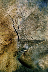 Timber Art -landscape