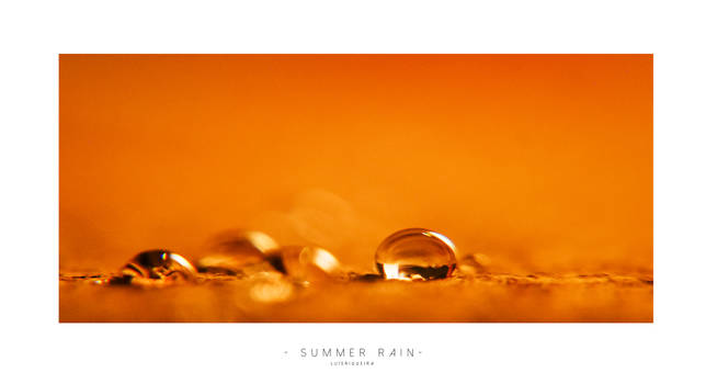 Summer rain 4